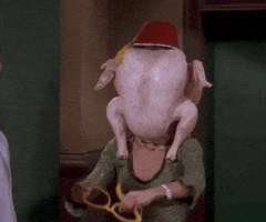 每日GIF(2020-11-17)的gif-Season 5 Thanksgiving GIF by Friends