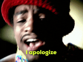 每日GIF(2020-11-17)的gif-Sorry Big Boi GIF by Outkast