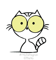 每日GIF(2020-11-17)的gif-Cat Love GIF by marko