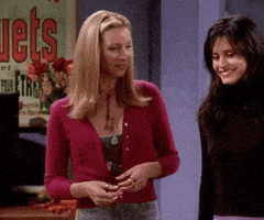 每日GIF(2020-11-18)的gif-Season 7 Thanksgiving GIF by Friends