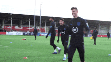 每日GIF(2020-11-19)的gif-Celebrate Three Lions GIF by England