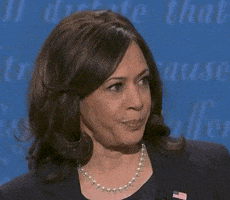 每日GIF(2020-11-19)的gif-Say What Excuse Me GIF by Election 2020