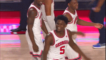 每日GIF(2020-11-19)的gif-College Sports Sport GIF by SEC Network