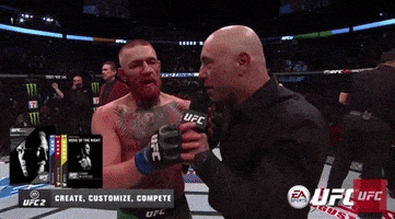 每日GIF(2020-11-20)的gif-Conor Mcgregor Sport GIF by UFC