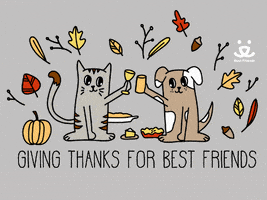 每日GIF(2020-11-21)的gif-Best Friends Thank You GIF by Best Friends Animal Society