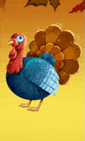 每日GIF(2020-11-21)的gif-Thanksgiving Turkey GIF by toyfantv