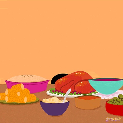 每日GIF(2020-11-23)的gif-Animation Domination Cat GIF by gifnews