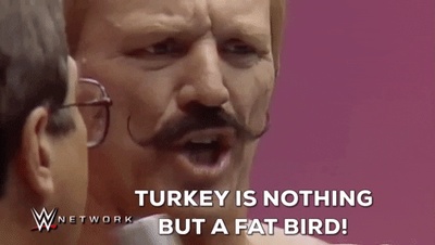 每日GIF(2020-11-24)的gif-wwe thanksgiving GIF by WWE