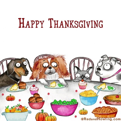每日GIF(2020-11-24)的gif-friends dogs GIF by Red & Howling