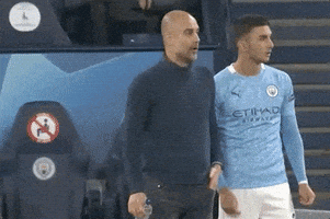 每日GIF(2020-11-26)的gif-Champions League Football GIF by UEFA
