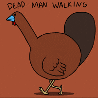 每日GIF(2020-11-26)的gif-Animation Domination Art GIF by gifnews