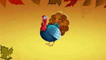 每日GIF(2020-11-26)的gif-Fall Thanksgiving GIF by toyfantv