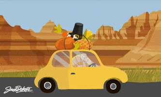 每日GIF(2020-11-26)的gif-Road Trip Thanksgiving GIF by South Dakota Tourism