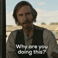 每日GIF(2020-11-26)的gif-Why Are You Doing This GIF by News of the World