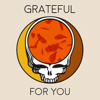 每日GIF(2020-11-26)的gif-Grateful Dead Fall GIF by Rhino Records