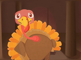 每日GIF(2020-11-28)的gif-Animation Design GIF by Rory