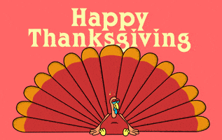 每日GIF(2020-11-28)的gif-Thanksgiving Turkey GIF by Jason Clarke