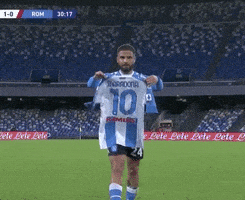 每日GIF(2020-11-30)的gif-Serie A Football GIF