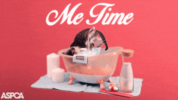 每日GIF(2020-11-30)的gif-Unwind Feeling Good GIF by ASPCA