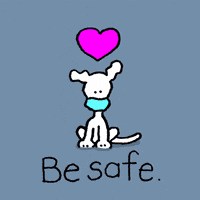 每日GIF(2020-12-04)的gif-Wear A Mask Stay Safe GIF by Chippy the Dog