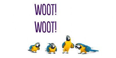 每日GIF(2020-12-05)的gif-Woo Hoo Party Animal GIF by TELUS