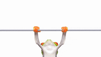 每日GIF(2020-12-06)的gif-Fitness Pull Up GIF by TELUS