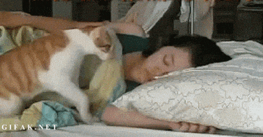 每日GIF(2020-12-06)的gif-good morning buenos dias GIF