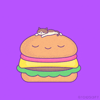 每日GIF(2020-12-07)的gif-cat kitty GIF by 100% Soft