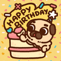 每日GIF(2020-12-08)的gif-Happy Birthday Dog GIF by Puglie Pug