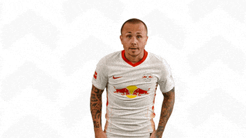 每日GIF(2020-12-09)的gif-Lets Go Motivation GIF by RB Leipzig