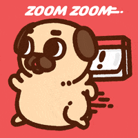 每日GIF(2020-12-09)的gif-Dog Run GIF by Puglie Pug