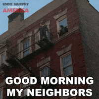 每日GIF(2020-12-09)的gif-Good Morning Nyc GIF by Coming to America