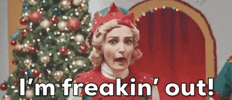 每日GIF(2020-12-09)的gif-Snl Elf GIF by Saturday Night Live