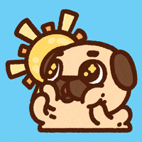 每日GIF(2020-12-10)的gif-Happy Dog GIF by Puglie Pug