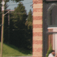 每日GIF(2020-12-10)的gif-Schitts Creek Comedy GIF by CBC