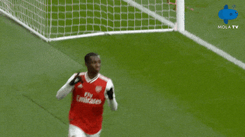 每日GIF(2020-12-11)的gif-Happy Premier League GIF by MolaTV