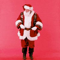 每日GIF(2020-12-11)的gif-GIF by Macy's