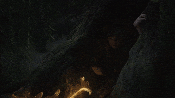 每日GIF(2020-12-12)的gif-Looking Around Coming Out GIF by Taylor Swift