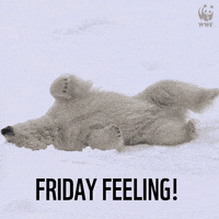 每日GIF(2020-12-12)的gif-Polar Bear Christmas GIF by WWF_UK