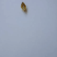 每日GIF(2020-12-12)的gif-Loop GIF by Thoka Maer