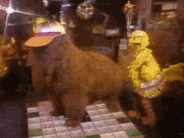每日GIF(2020-12-13)的gif-Big Bird Dancing GIF by MOODMAN