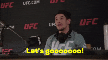 每日GIF(2020-12-13)的gif-Episode 4 Ufc Embedded GIF by UFC