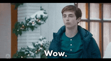 每日GIF(2020-12-14)的gif-Saturday Night Live Wow GIF by NBC