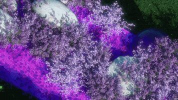 每日GIF(2020-12-14)的gif-Secret Garden 3D GIF by #sazanimation