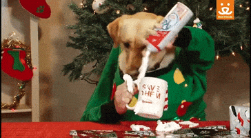 每日GIF(2020-12-15)的gif-Whipped Cream Omg GIF by Best Friends Animal Society