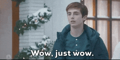 每日GIF(2020-12-15)的gif-Snl GIF by Saturday Night Live