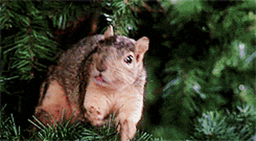 每日GIF(2020-12-16)的gif-Feliz Navidad Christmas GIF