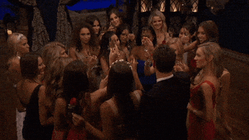 每日GIF(2020-12-16)的gif-Chris Harrison Love GIF by The Bachelor