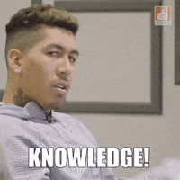 每日GIF(2020-12-17)的gif-Premier League Sport GIF by Liverpool FC