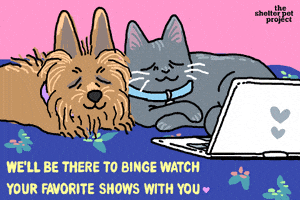 每日GIF(2020-12-18)的gif-Pet Adoption Adopt GIF by Shelter Pet Project